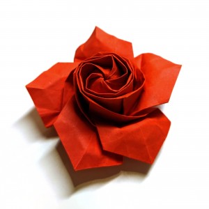 Origami rote Rose 5ecke