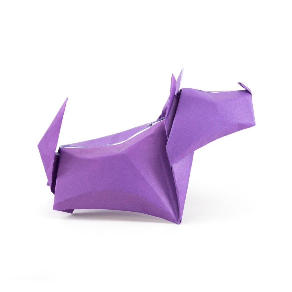 Origami hund 8