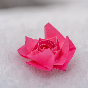 Origami Rose im Schnee 4
