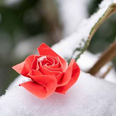 Origami Rose im Schnee 1.2