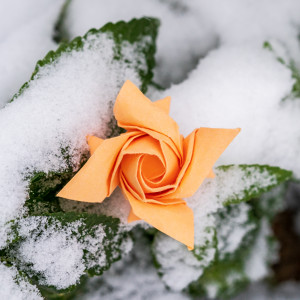 Origami Rose im Schnee 2