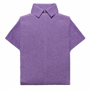 DSD02498